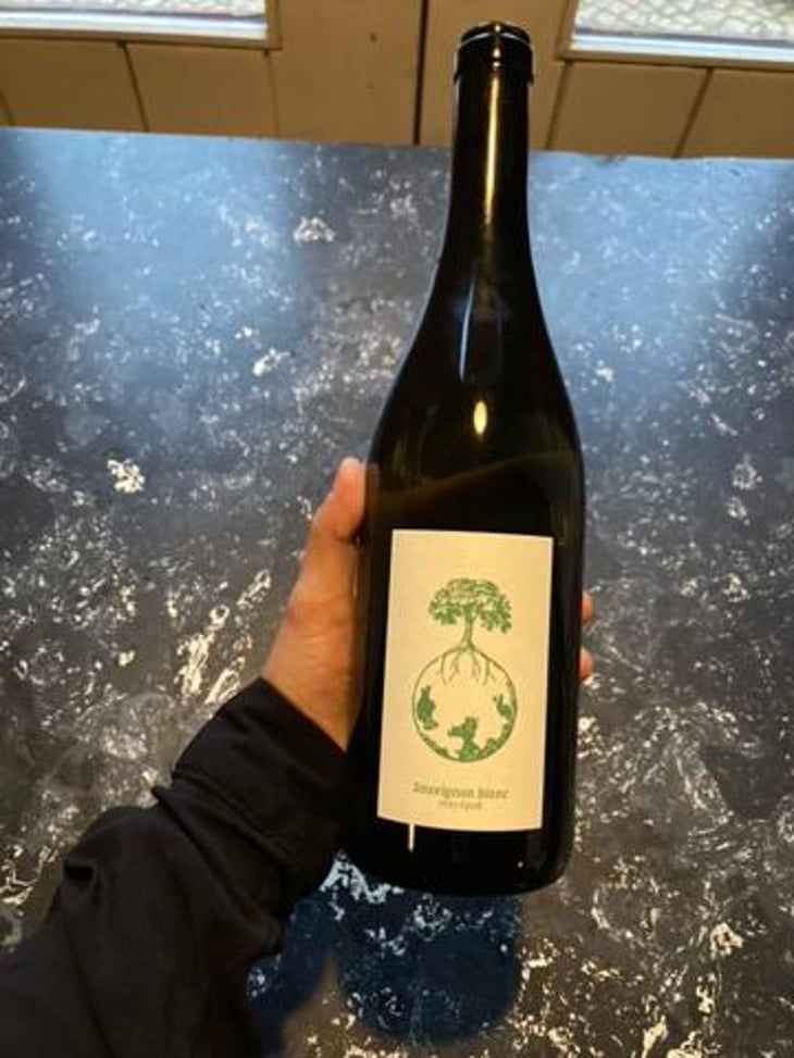 Sauvignon Blanc vom Opok - Weingut Werlitsch - Ewald & Brigitte Tscheppe 