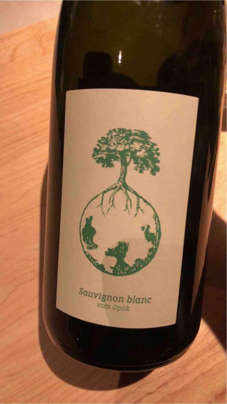 Sauvignon Blanc vom Opok - Weingut Werlitsch - Ewald & Brigitte Tscheppe 