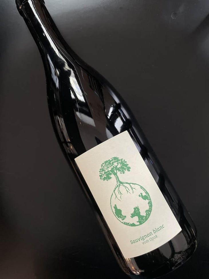Sauvignon Blanc vom Opok - Weingut Werlitsch - Ewald & Brigitte Tscheppe 