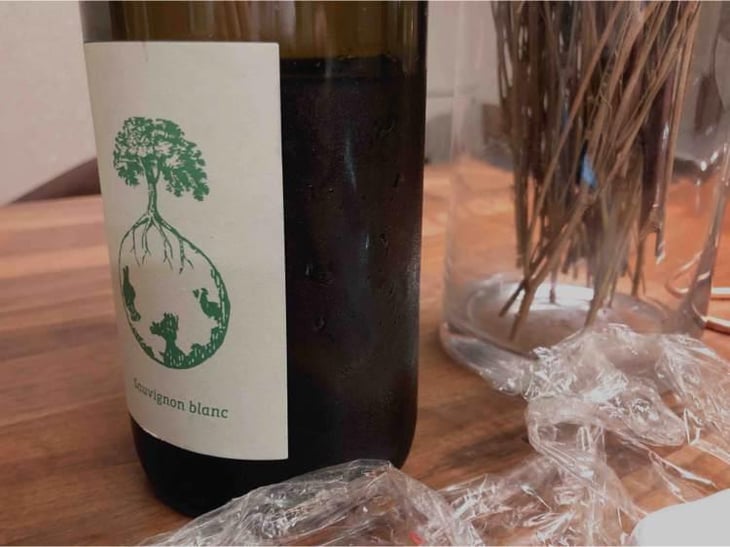 Sauvignon blanc - Weingut Werlitsch - Ewald & Brigitte Tscheppe 