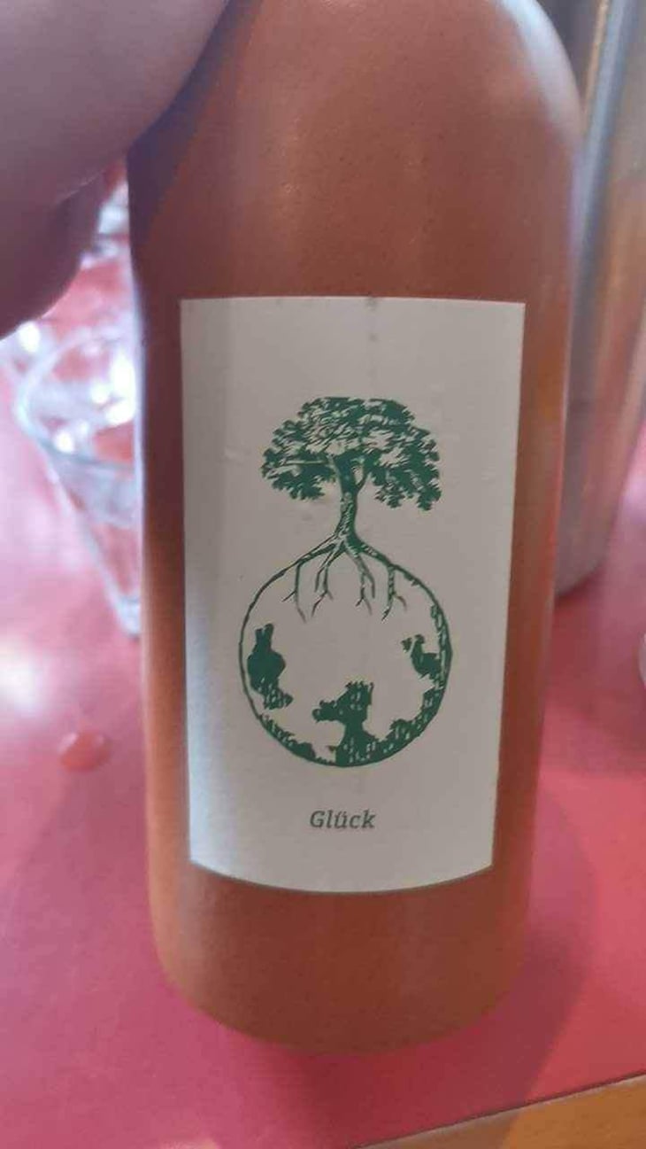 Sauvignon blanc - Weingut Werlitsch - Ewald & Brigitte Tscheppe 