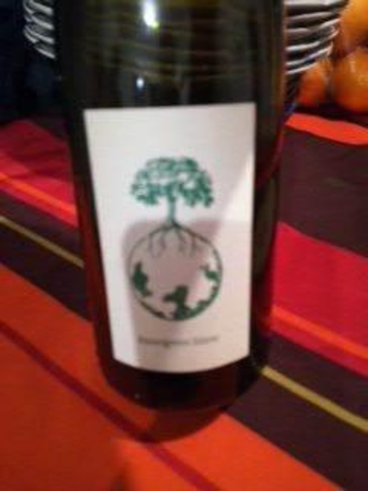 Sauvignon blanc - Weingut Werlitsch - Ewald & Brigitte Tscheppe 