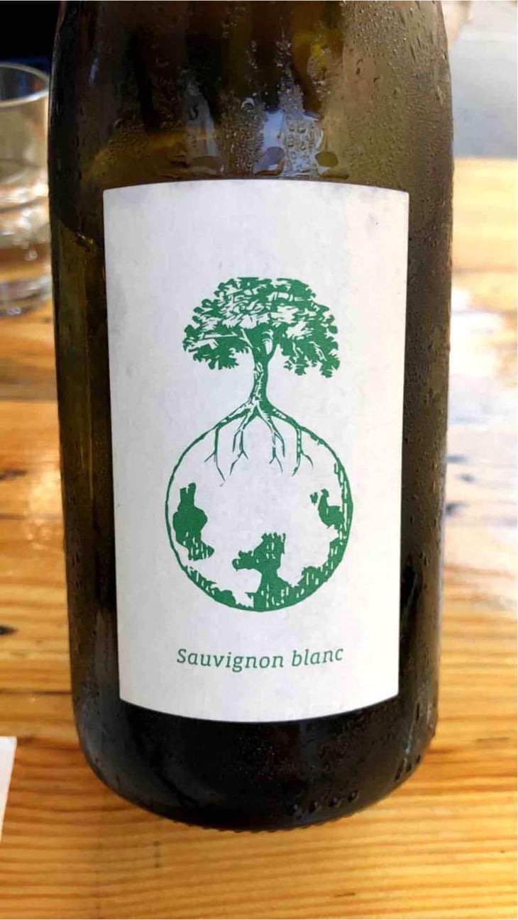 Sauvignon blanc - Weingut Werlitsch - Ewald & Brigitte Tscheppe 