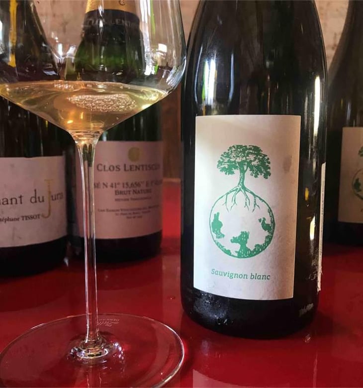 Sauvignon blanc - Weingut Werlitsch - Ewald & Brigitte Tscheppe 