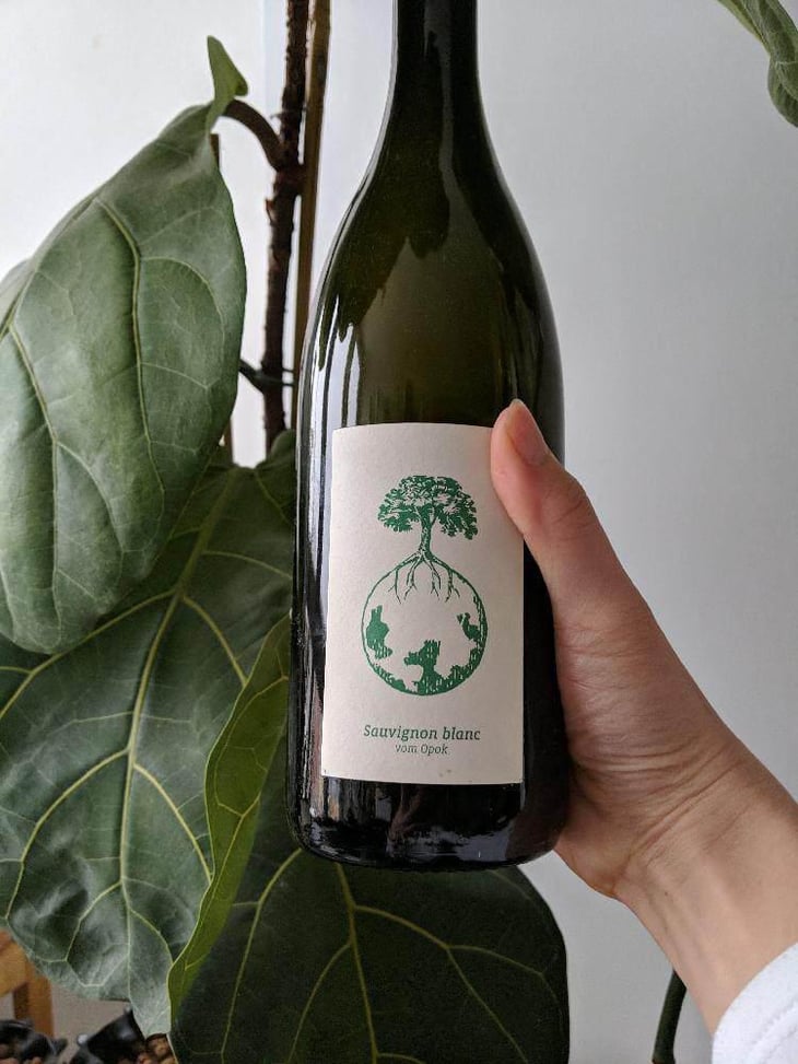 Sauvignon blanc - Weingut Werlitsch - Ewald & Brigitte Tscheppe 