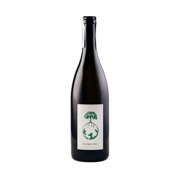 Sauvignon blanc - Weingut Werlitsch - Ewald & Brigitte Tscheppe 