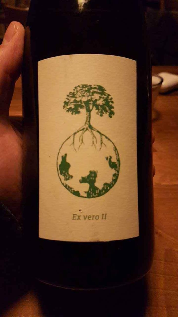 Sauvignon blanc - Weingut Werlitsch - Ewald & Brigitte Tscheppe 