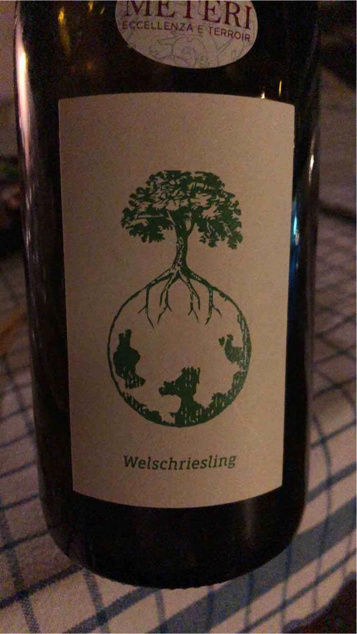 Sauvignon blanc - Weingut Werlitsch - Ewald & Brigitte Tscheppe 