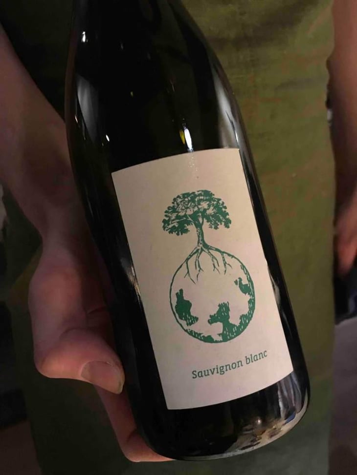 Sauvignon blanc - Weingut Werlitsch - Ewald & Brigitte Tscheppe 