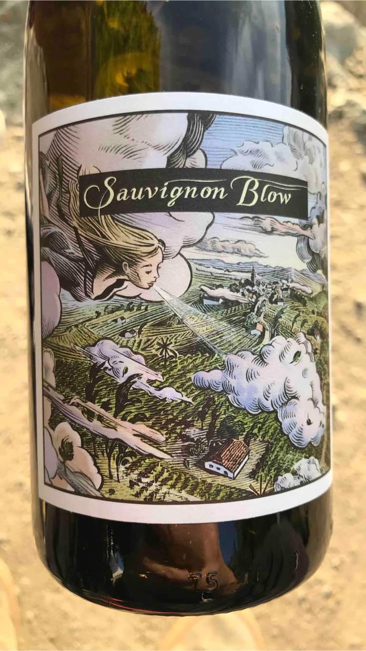 Sauvignon Blow - 2942046 - KT&CN -2019