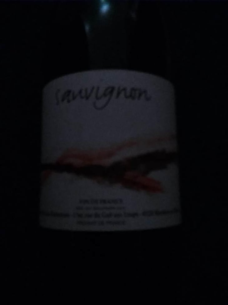Touraine Sauvignon - Domaine POB - Pierre-Olivier Bonhomme 