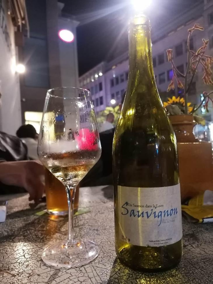 Sauvignon - Un Saumon Dans la Loire - Marie Thibault & Frantz Saumon 