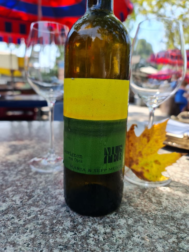 Sauvignon vom Opok - Weingut Muster - Maria & Sepp Muster 