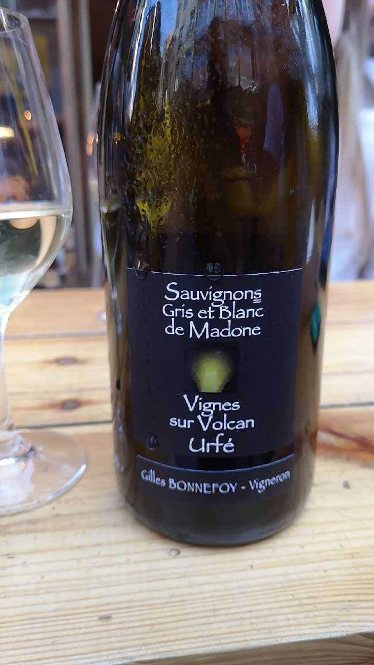 Sauvignons Gris et Blancs de Madone - Vins de la Madone - Gilles Bonnefoy 