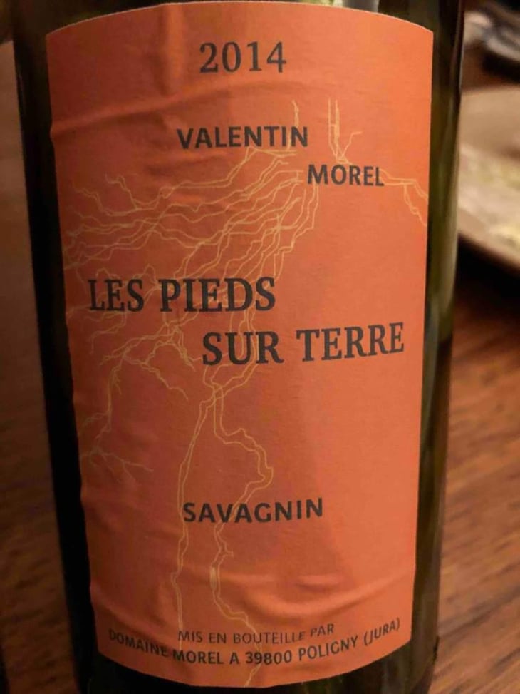 Savagnin - Les Pieds Sur Terre - Valentin Morel 