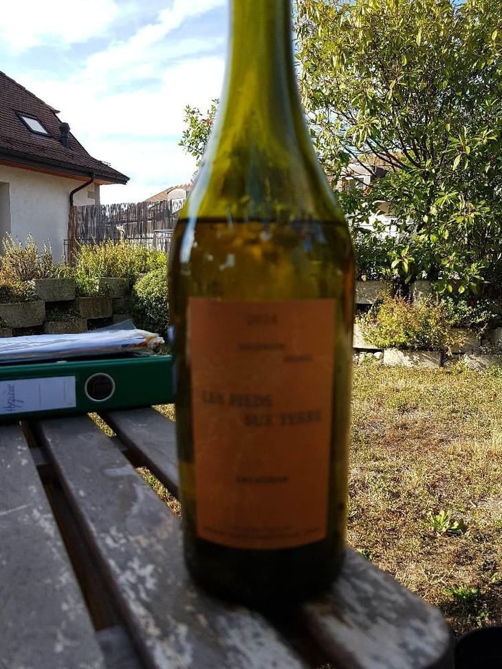 Savagnin - Les Pieds Sur Terre - Valentin Morel 