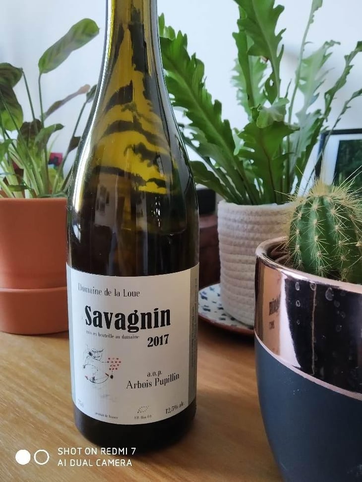 Savagnin - Domaine de la Loue - Catherine Hannoun 