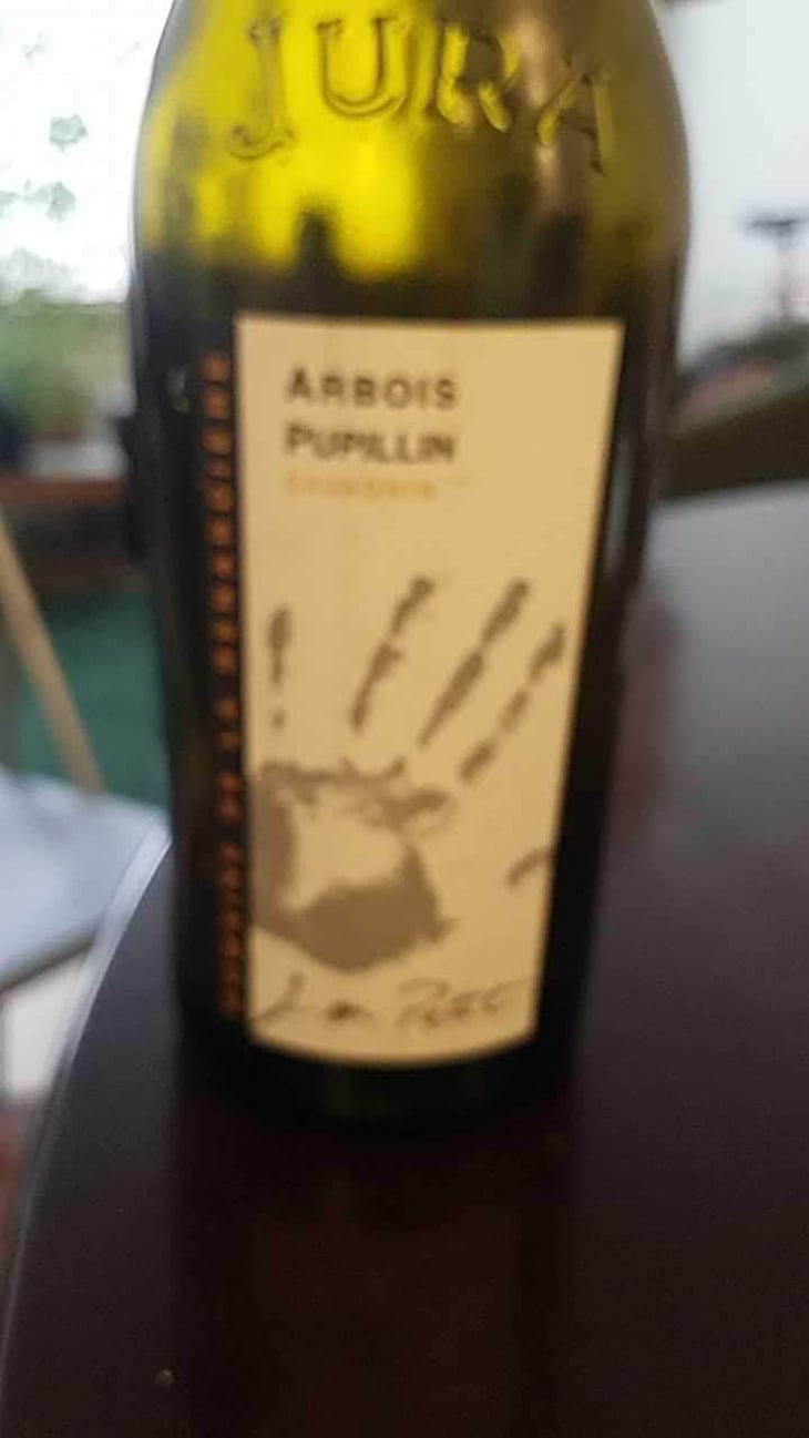 Savagnin - Domaine de la Renardière - Jean-Michel, Laurence et Leo Petit 