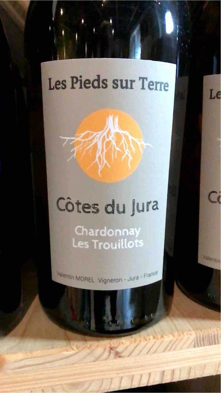 Savagnin Ouillé - Les Pieds Sur Terre - Valentin Morel 