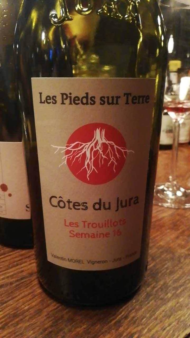Savagnin Ouillé - Les Pieds Sur Terre - Valentin Morel 
