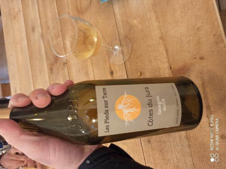 Savagnin Ouillé - Les Pieds Sur Terre - Valentin Morel 
