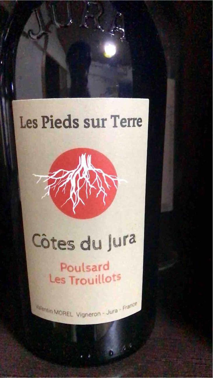 Savagnin Ouillé - Les Pieds Sur Terre - Valentin Morel 