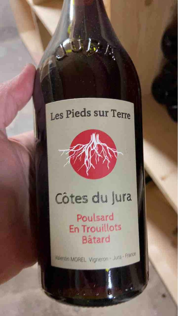 Savagnin Ouillé - Les Pieds Sur Terre - Valentin Morel 