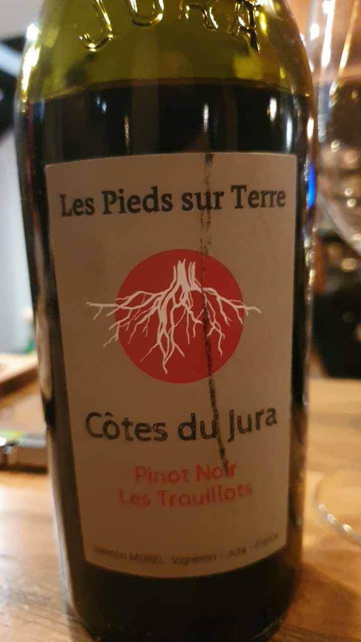 Savagnin Ouillé - Les Pieds Sur Terre - Valentin Morel 