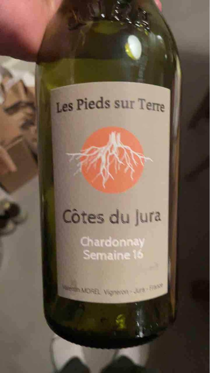 Savagnin Ouillé - Les Pieds Sur Terre - Valentin Morel 