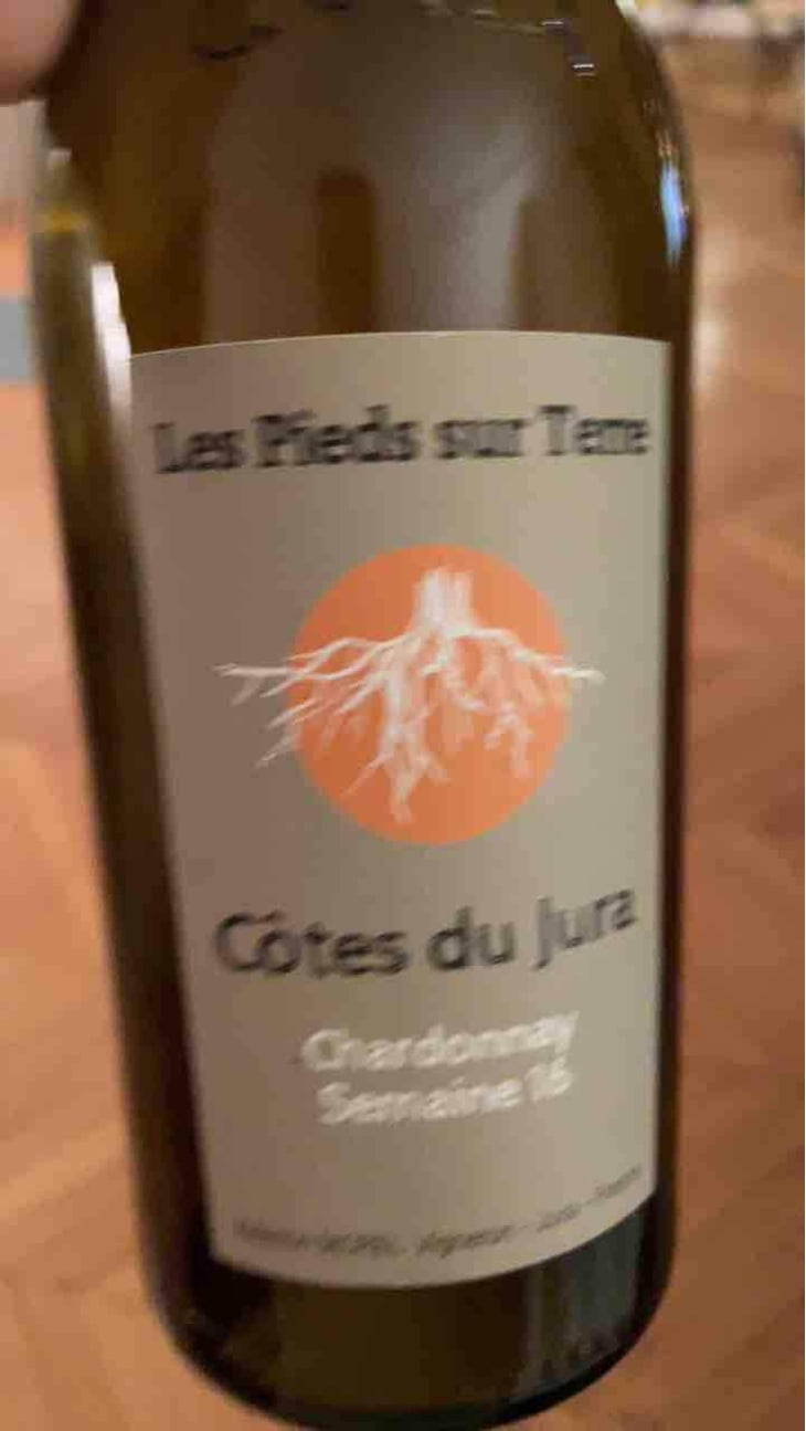 Savagnin Ouillé - Les Pieds Sur Terre - Valentin Morel 