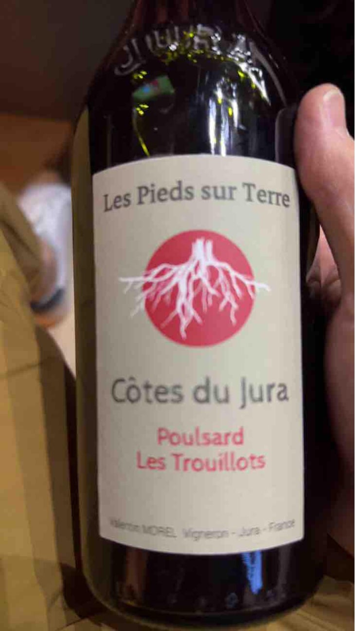 Savagnin Ouillé - Les Pieds Sur Terre - Valentin Morel 