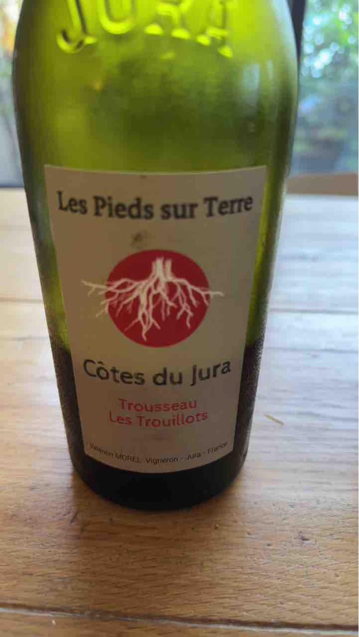 Savagnin Ouillé - Les Pieds Sur Terre - Valentin Morel 