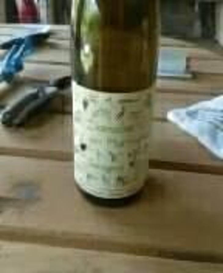 Savagnin - Domaine des Murmures - Emmanuel Lançon 