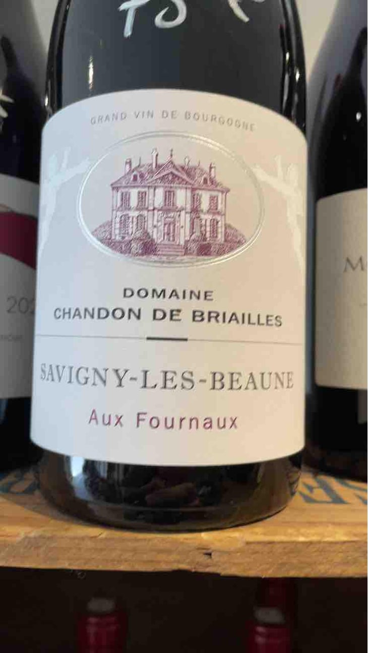 Savigny-les-Beaune 1er Cru "Aux Fournaux" - Domaine Chandon de Briailles - Claude & François de Nicolay 