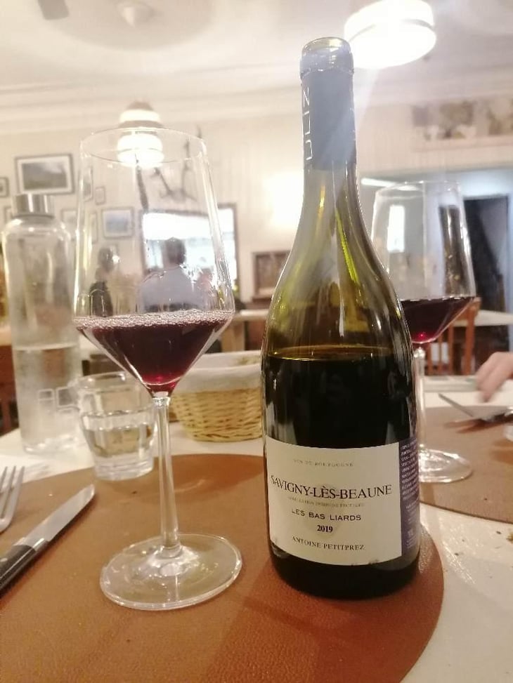Savigny Lès Beaune Les Bas Liards - Uliz - Antoine Petitprez -2018