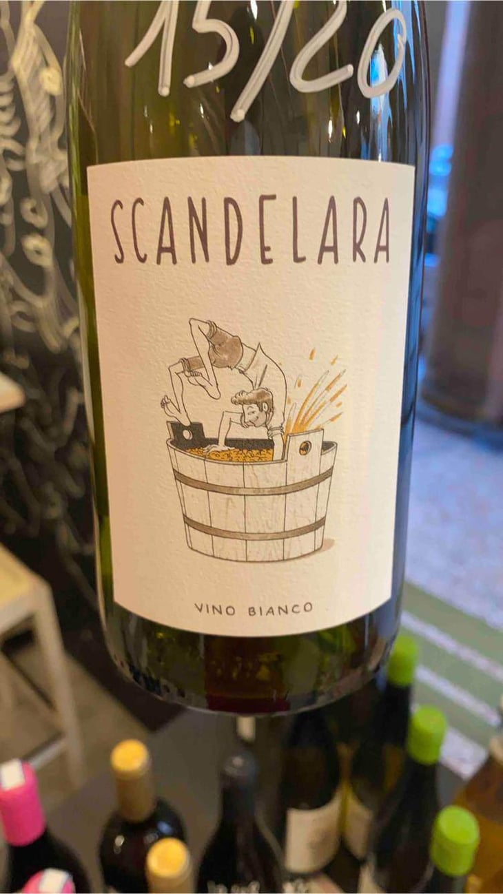 Scandelara Bianco - Scandelara - Azienda Agricola Castel Arienti - Mattia Donini 