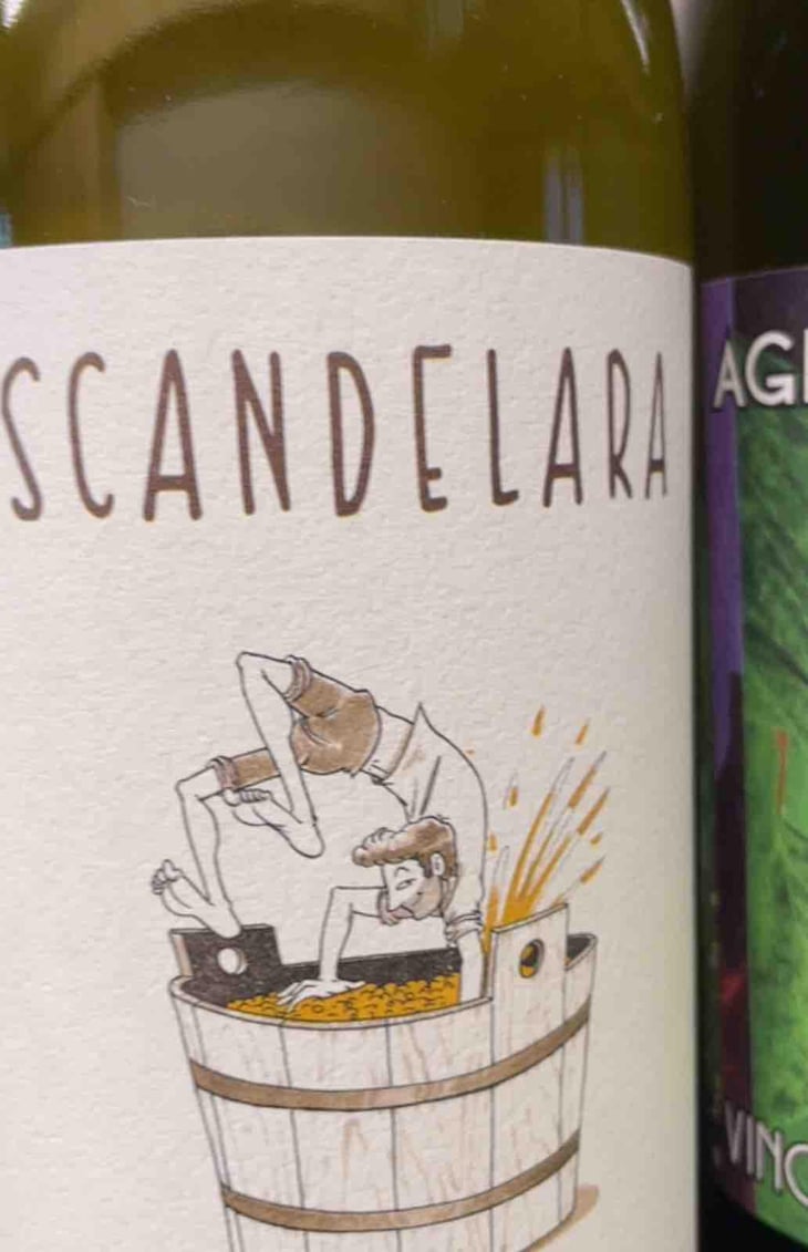 Scandelara Bianco - Scandelara - Azienda Agricola Castel Arienti - Mattia Donini 