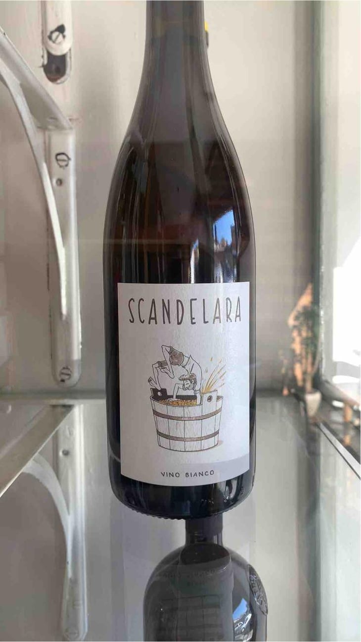 Scandelara Bianco - Scandelara - Azienda Agricola Castel Arienti - Mattia Donini 