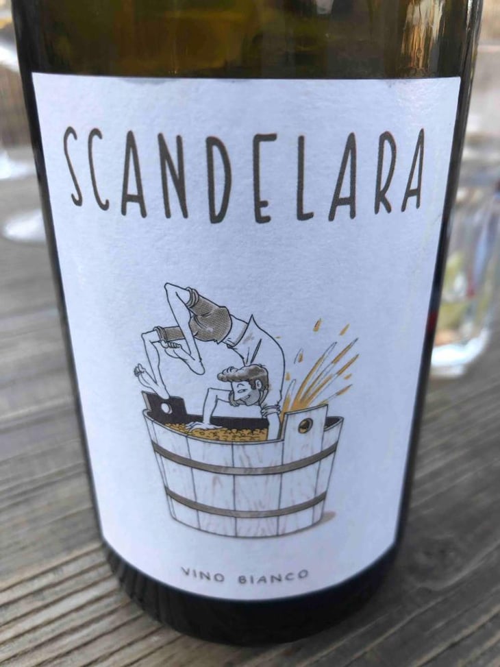 Scandelara Bianco - Scandelara - Azienda Agricola Castel Arienti - Mattia Donini 