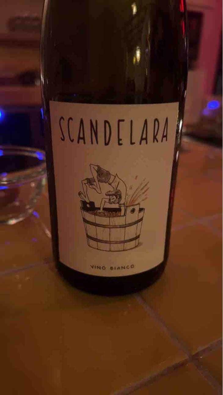 Scandelara Bianco - Scandelara - Azienda Agricola Castel Arienti - Mattia Donini 