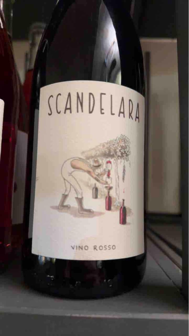 Scandelara Rosso - Scandelara - Azienda Agricola Castel Arienti - Mattia Donini 