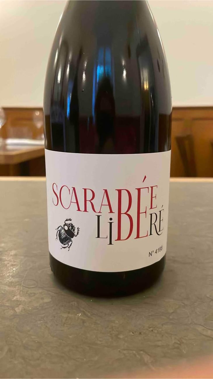 Scarabée Libéré - Domaine Des Escaravailles - Madeline Ferran -2021