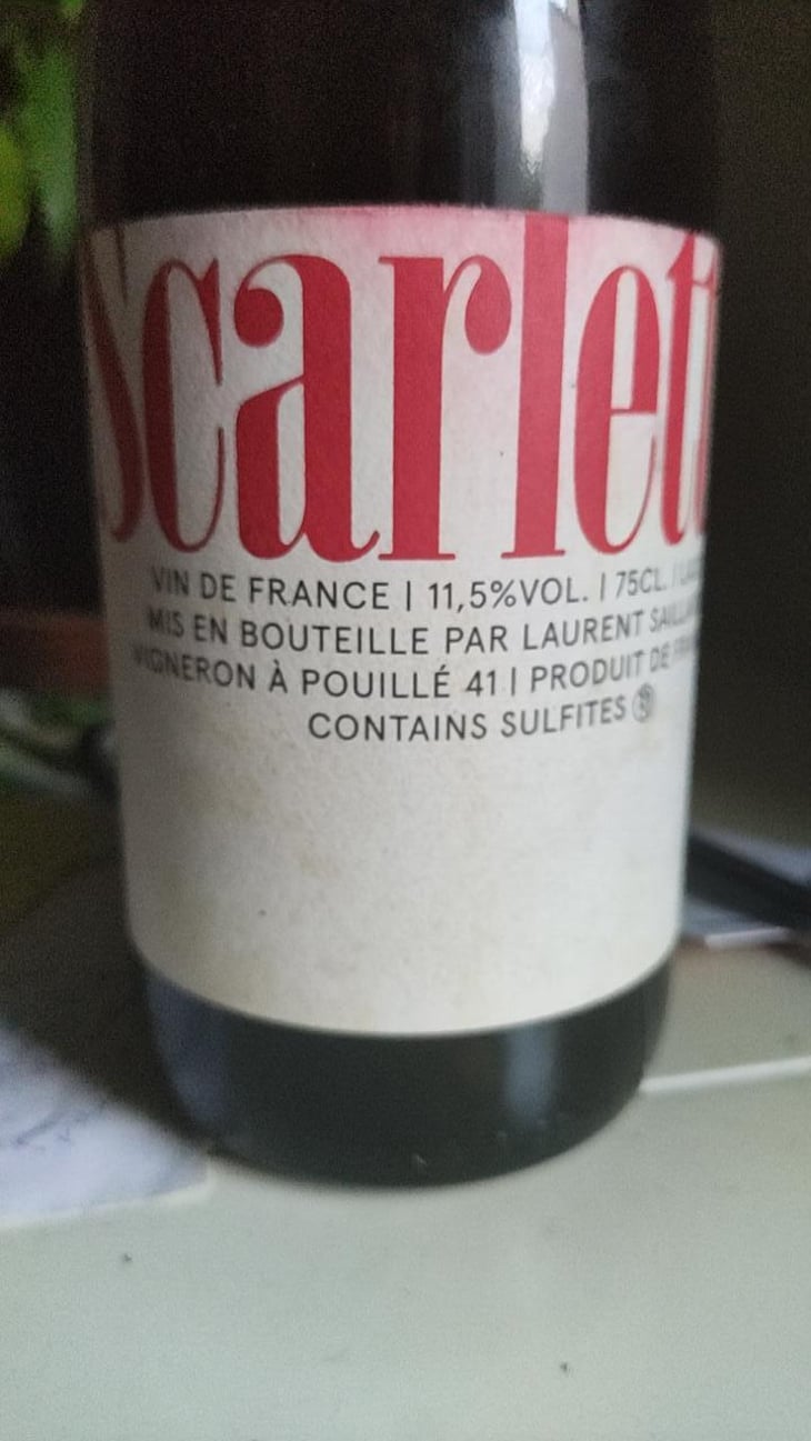 Scarlette - Laurent Saillard - Laurent Saillard 