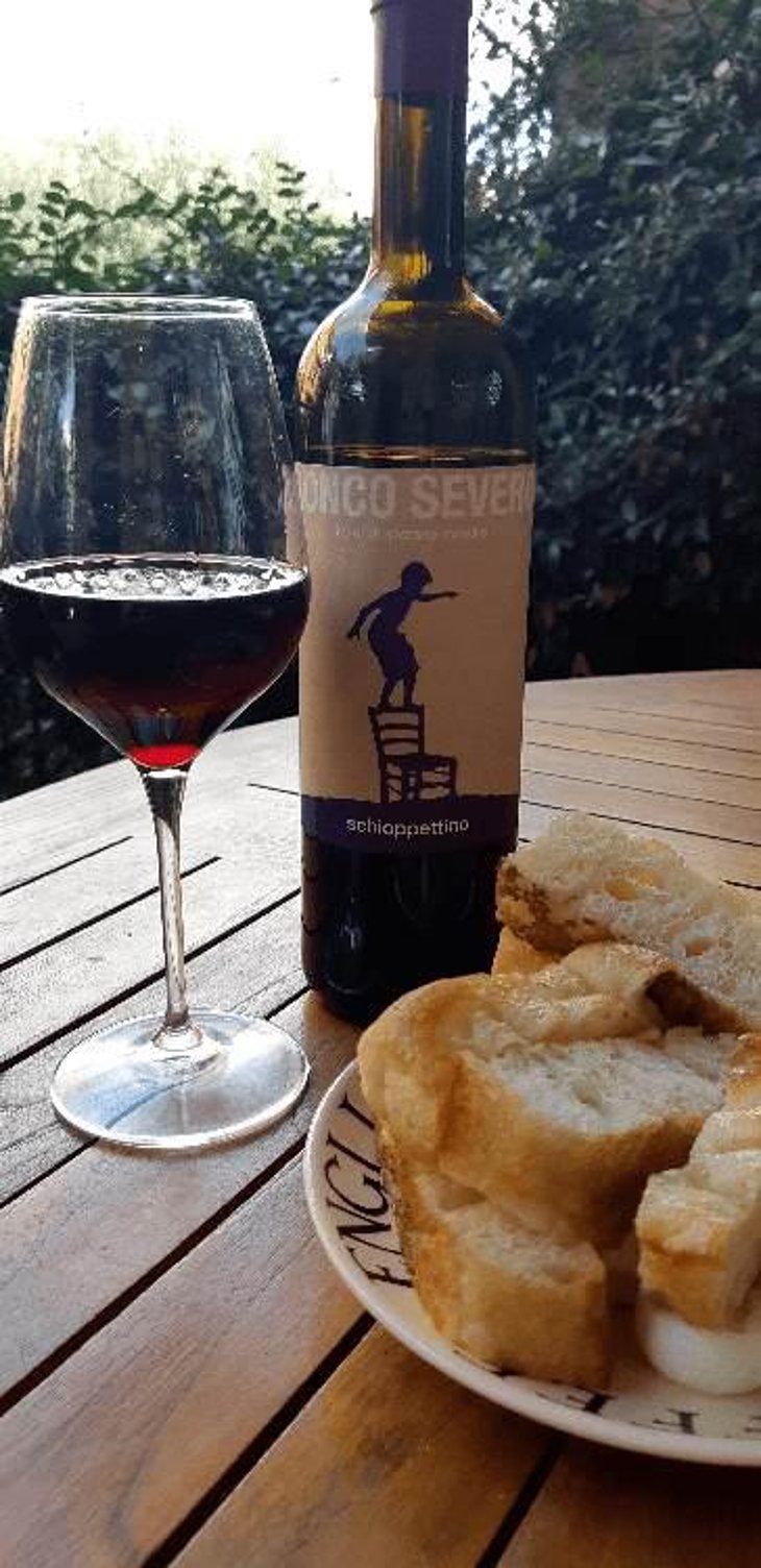 Schioppetino - Ronco Severo - Stefano Novello 