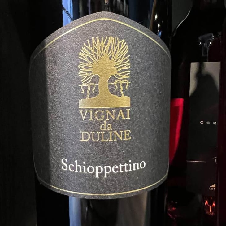 Schioppettino - Vignai da Duline - Lorenzo Mocchiutti & Federica Magrini 