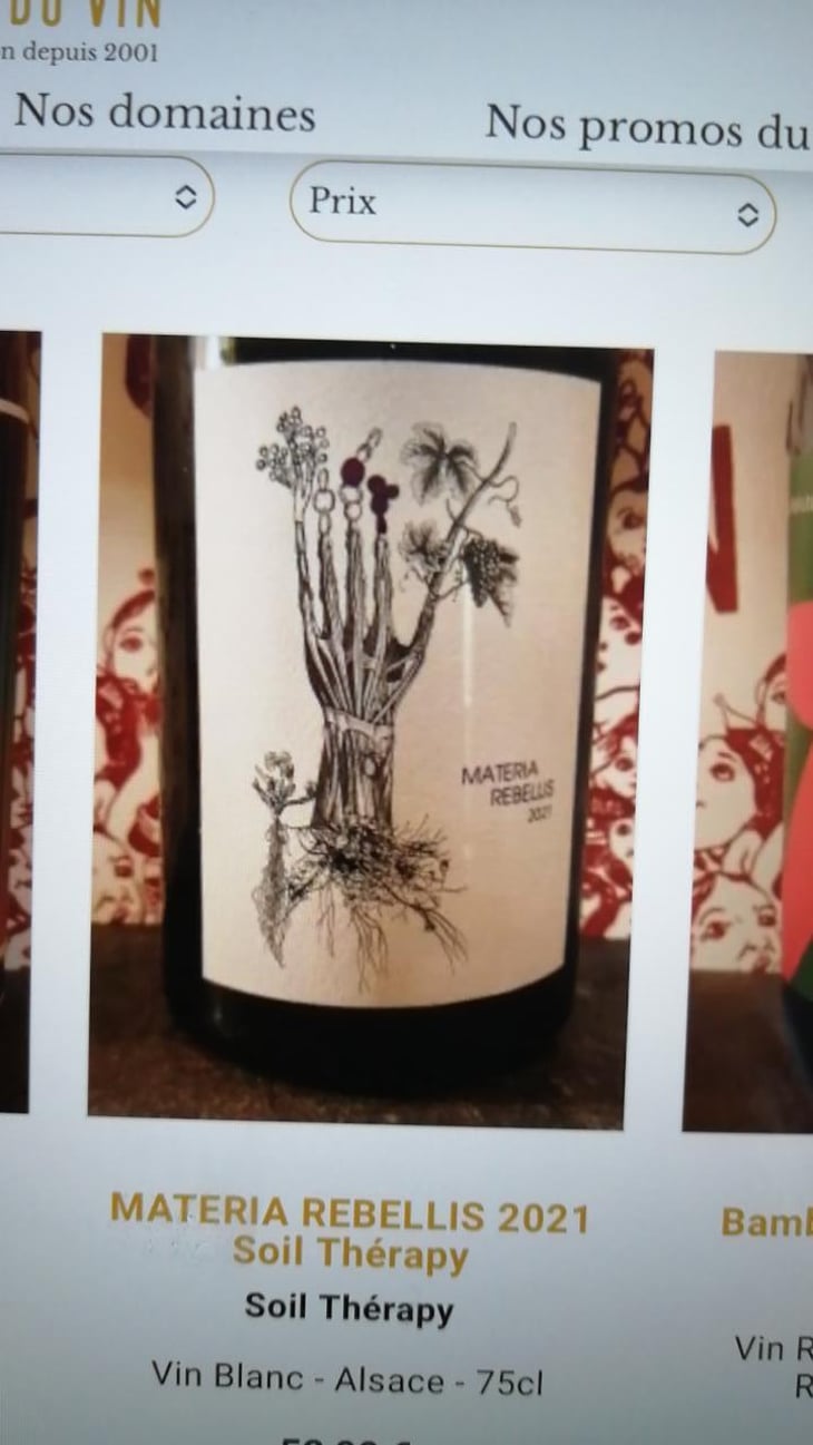 Schiste - Soil Therapy - Les Vins du Mardi - Thomas Larmoyer 