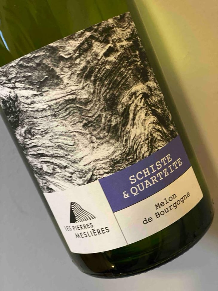 Schiste & Quartzite - Les Pierres Meslières - Frédéric Monnier -2021
