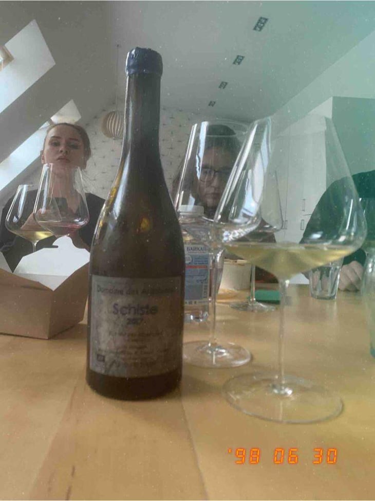 Schistes - Domaine Des Ardoisières - Brice Omont 