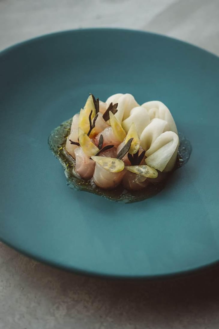 Seabass - Kohlrabi - Restaurant Renilde - 573796