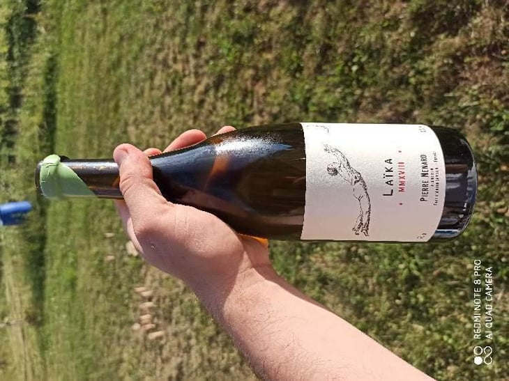 Laïka - Domaine Pierre Ménard - Pierre Ménard 